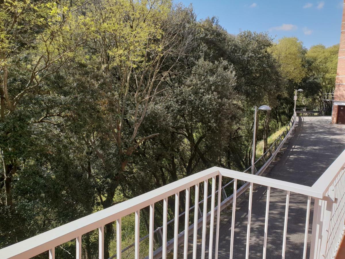 Ca La Rita Apartman Castellfollit de la Roca Kültér fotó