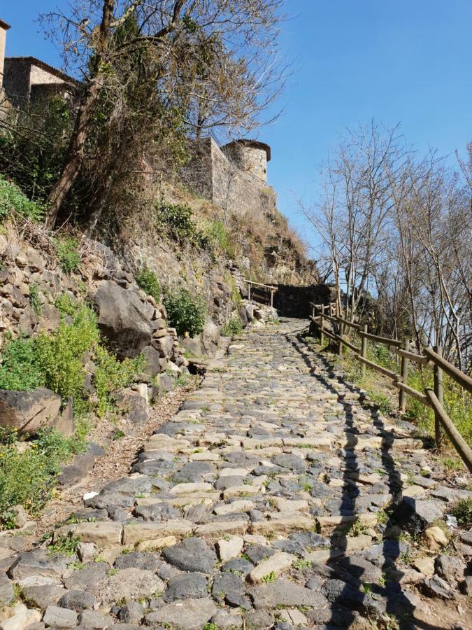 Ca La Rita Apartman Castellfollit de la Roca Kültér fotó